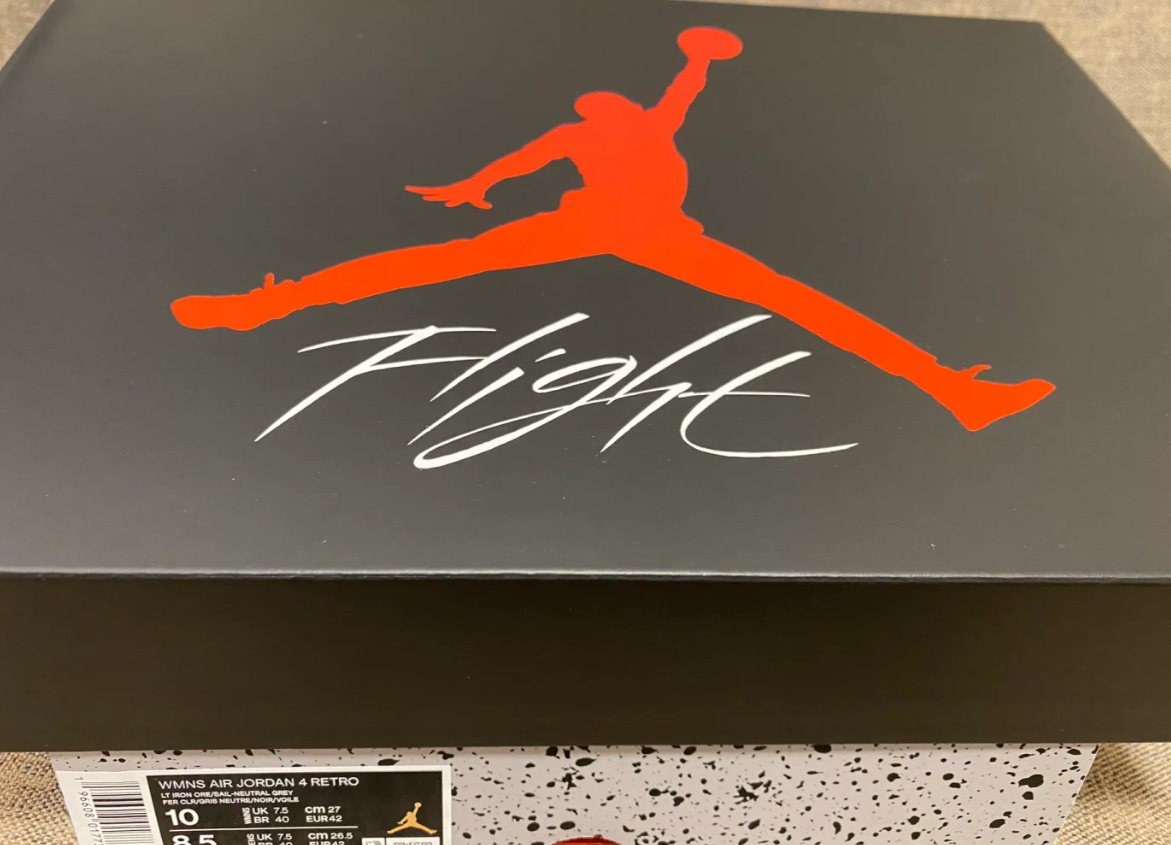 EM Sneakers Jordan 4 Retro Frozen Moments Low review 1