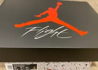 EM Sneakers Jordan 4 Retro Frozen Moments Low review 1