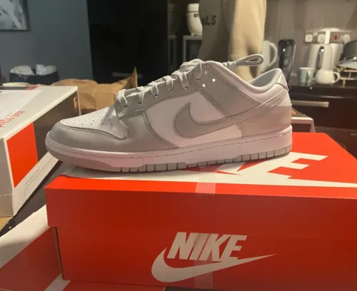 EM Sneakers Nike Dunk Low Grey Fog review 