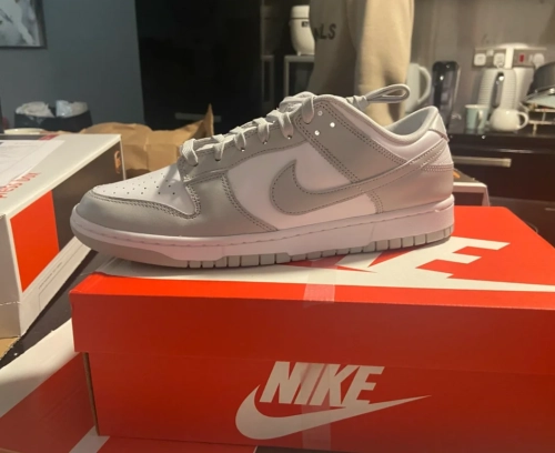 EM Sneakers Nike Dunk Low Grey Fog reviewed by