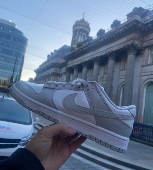 EM Sneakers Nike Dunk Low Grey Fog reviewed by