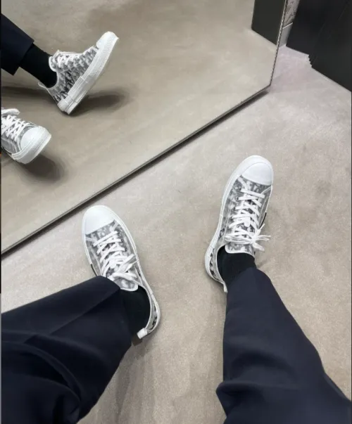 EM Sneakers Dior B23 Low Top Logo Oblique review 
