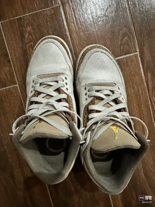 EM Sneakers Jordan 3 Retro Palomino (GS) review 