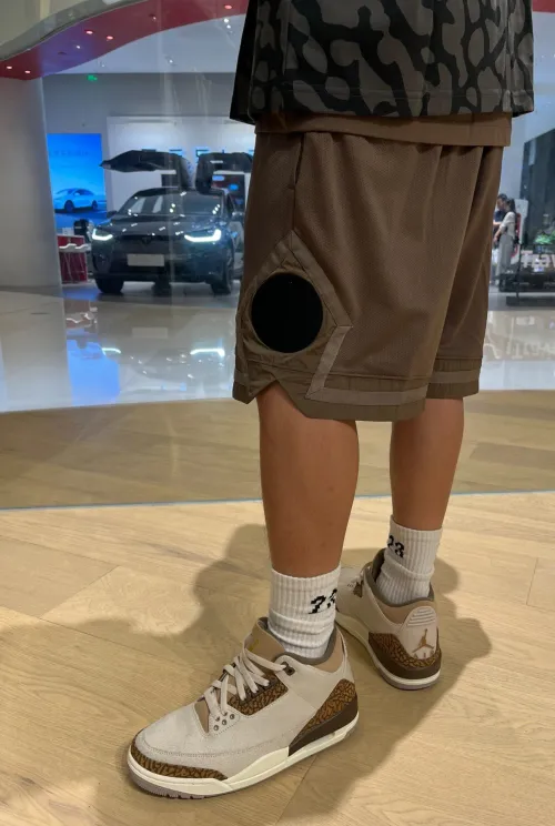EM Sneakers Jordan 3 Retro Palomino (GS) review 