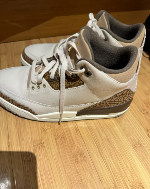 EM Sneakers Jordan 3 Retro Palomino (GS) review 