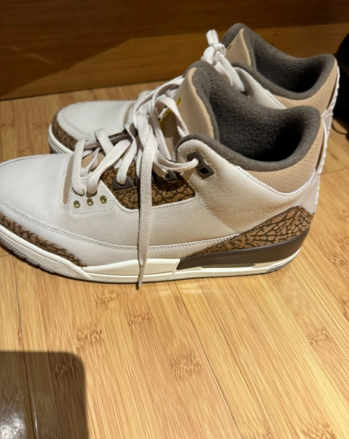 EM Sneakers Jordan 3 Retro Palomino (GS) reviewed by