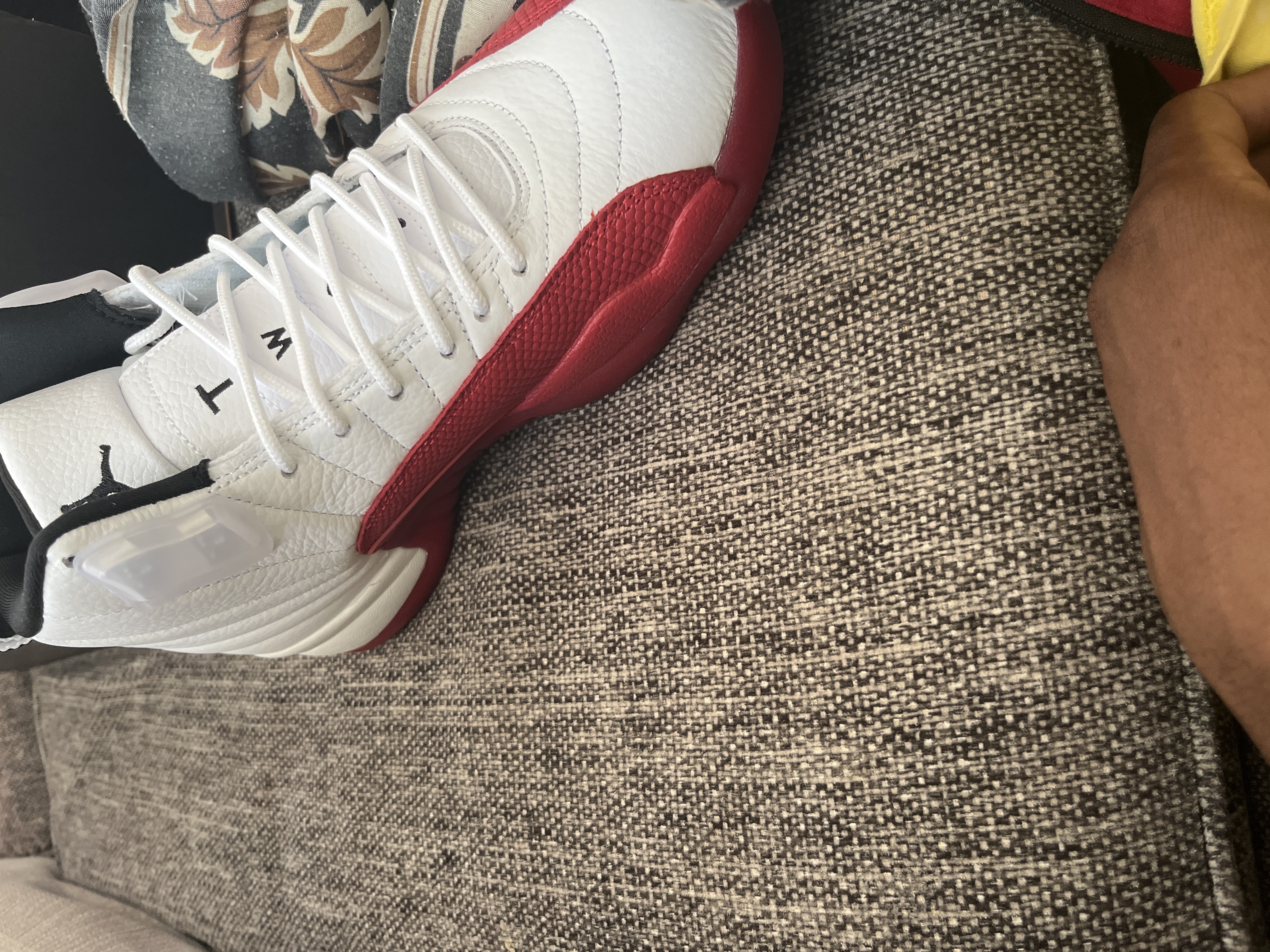 EM Sneakers Jordan 12 Retro Cherry (2023) review 2
