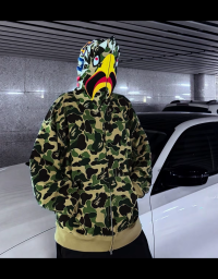 EM Sneakers BAPE ABC Camo Shark Full Zip Hoodie Blue & Pink & Green review 0