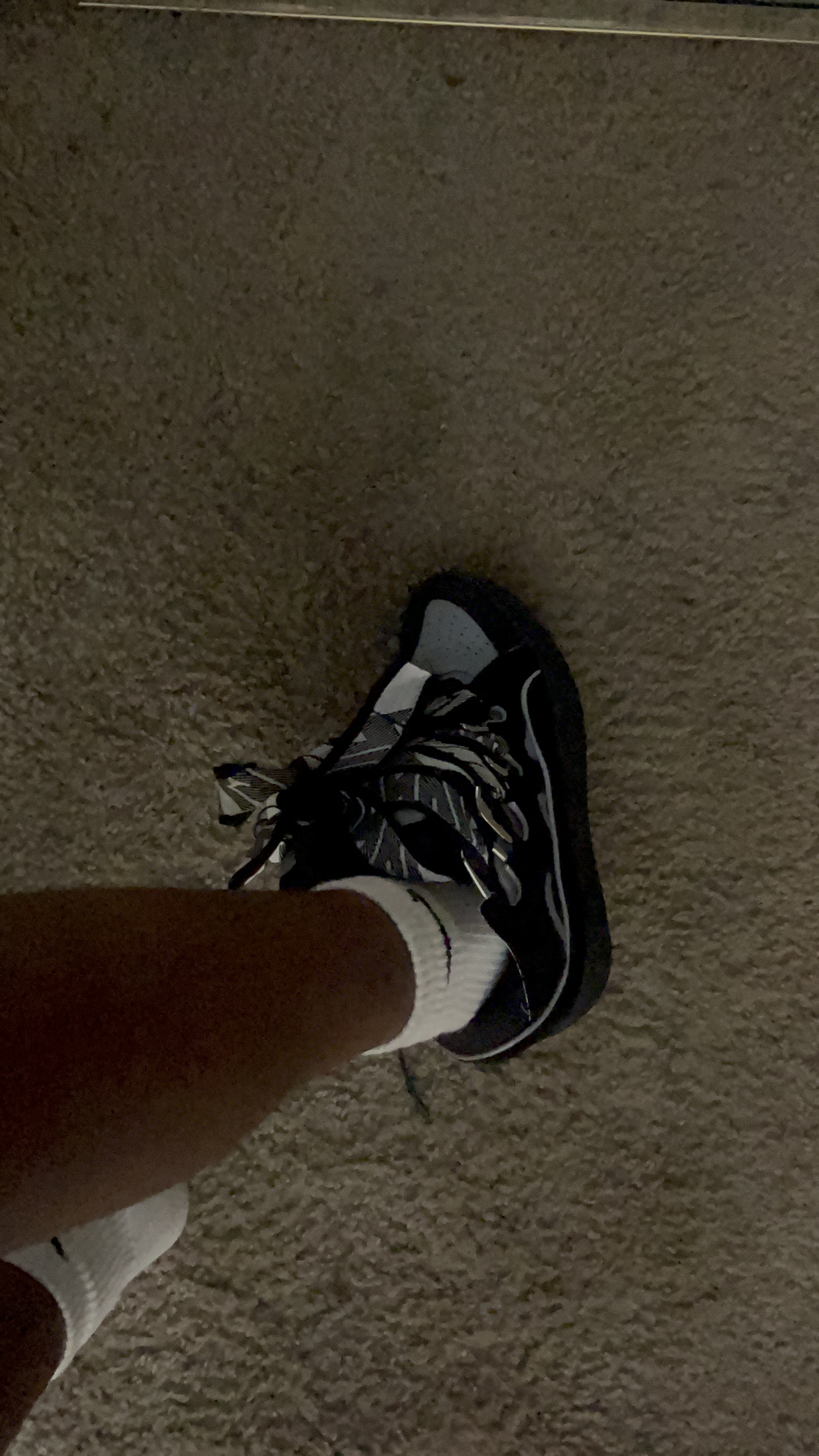 EM Sneakers Lanvin Leather Curb Black Grey review Z 00