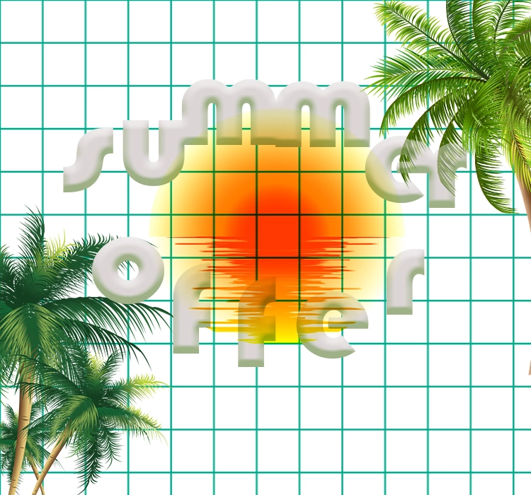 Summer Offer—EM Sneakers 