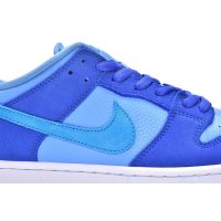 Fake Nike Dunk Low Blue Raspberry DM0807-400