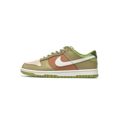 Fake Nike Dunk Low Brown Veail Sail Vivid Green DV9108-711