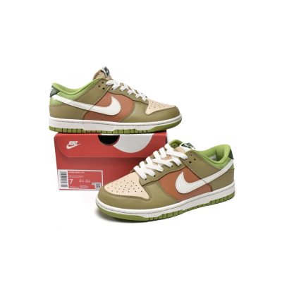 Fake Nike Dunk Low Brown Veail Sail Vivid Green DV9108-711