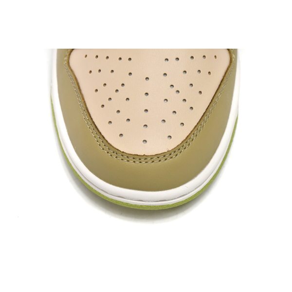 Fake Nike Dunk Low Brown Veail Sail Vivid Green DV9108-711