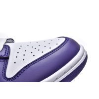 Fake Nike Dunk Low Championship Court Purple DD1391-104