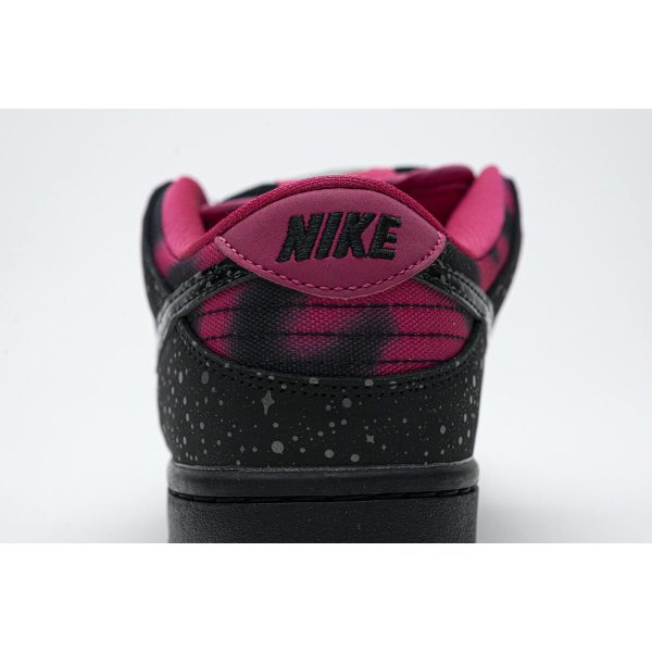 Fake Nike Dunk SB Low Premier &quot;Northern Lights&quot; 724183-063