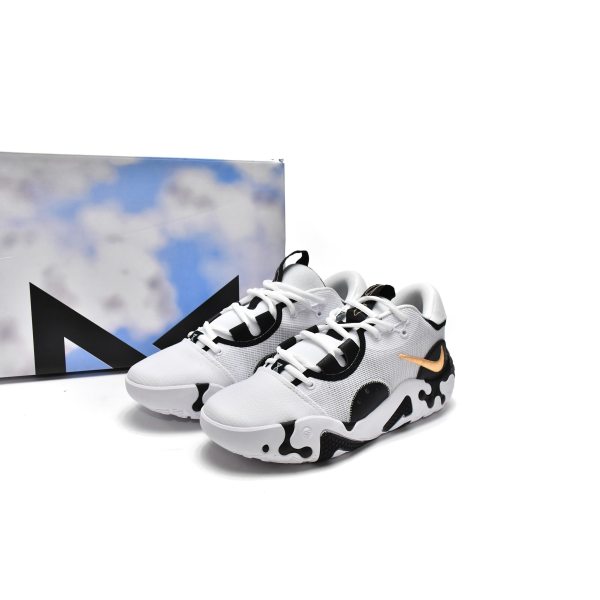 Fake Nike PG 6 EP Panda DH8447-101