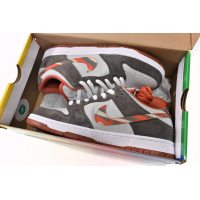 Fake Crushed D.C x Nike SB Dunk Low Pro DH7782-001