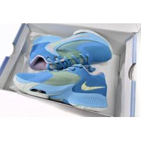 Fake Nike Zoom Freak 4 Moonlight DJ6149-404	