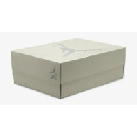 Fake Nike SB x Air Jordan 4 “Pine Green” DR5415-103