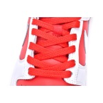 Nike Dunk Low Championship Red CW1590-600