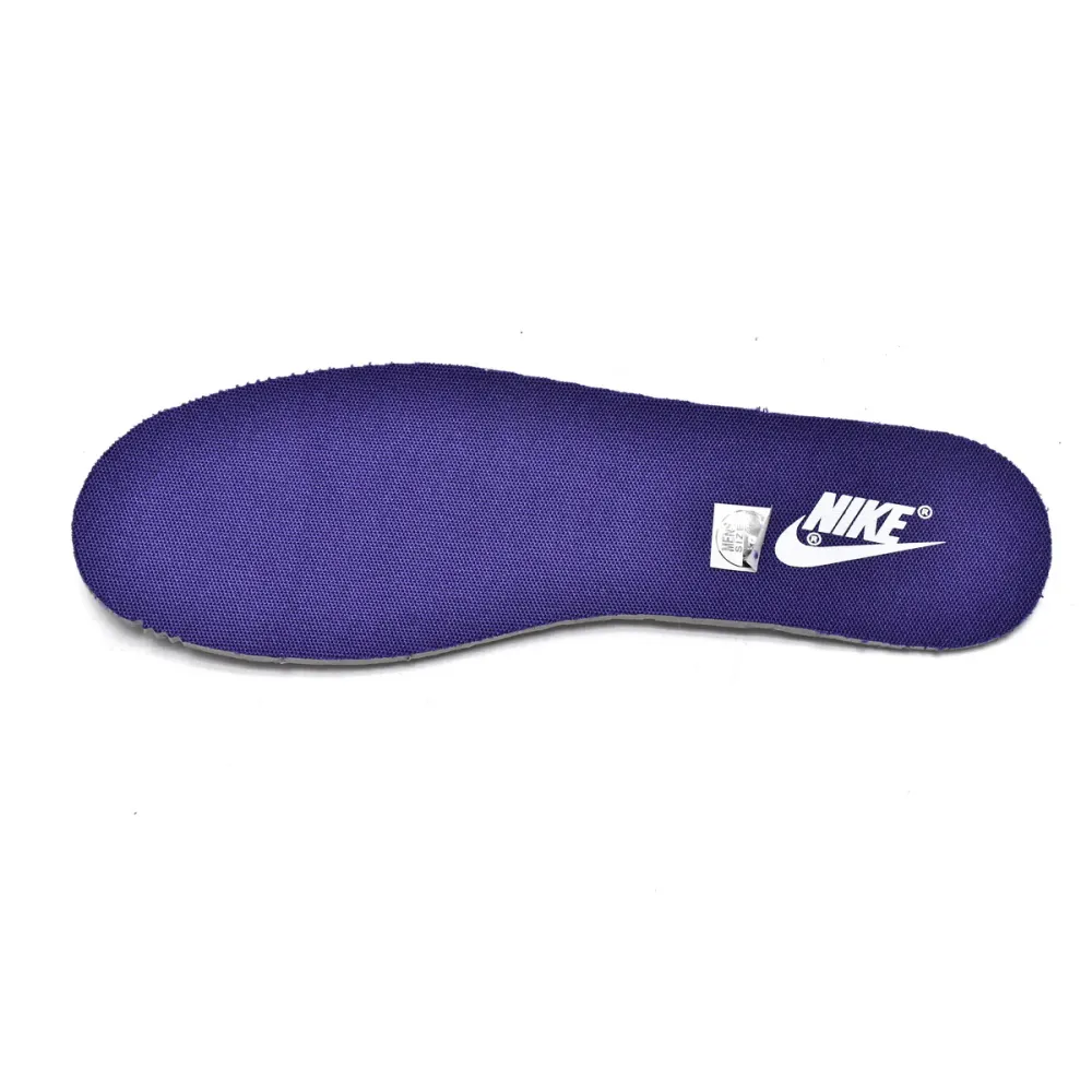 Nike Dunk Low Championship Court Purple DD1391-104