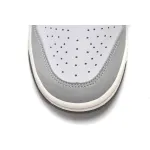 Nike Dunk Low Light Smoke Grey DD1503-117