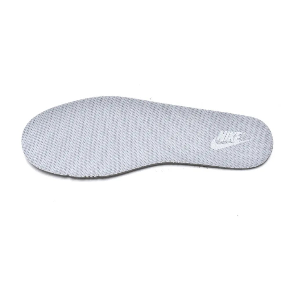 Nike Dunk Low Pure Platinum DJ6188-001