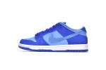 Nike SB Dunk Low Blue Raspberry DM0807-400