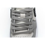 Air Jordan 1 Retro Low Dior CN8608-002