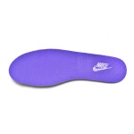 Nike Dunk Low World Champ DR9511-100 