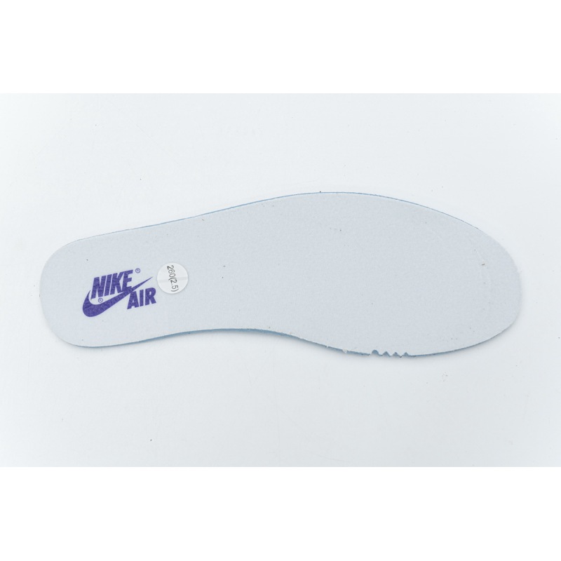 Air Jordan 1 Retro High Court Purple 555088-501