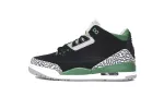 Air Jordan 3 Retro Pine Green  CT8532-030 