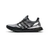 Adidas Ultra Boost 2.0 Grey Silver EG8103