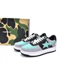 Bathing Ape Bape Sta Low Grey Black 1H70-191-002(BapeSta)