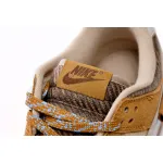 Nike Dunk Low Teddy Bear DZ5350-288 