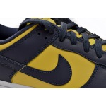 Nike Dunk Low Michigan DD1391-700 