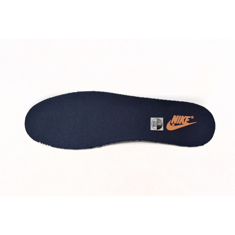 Nike Dunk Low Michigan DD1391-700 
