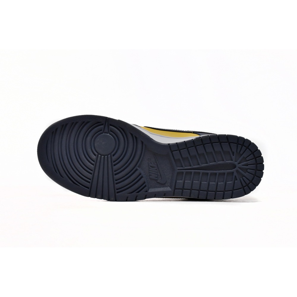 Nike Dunk Low Michigan DD1391-700 