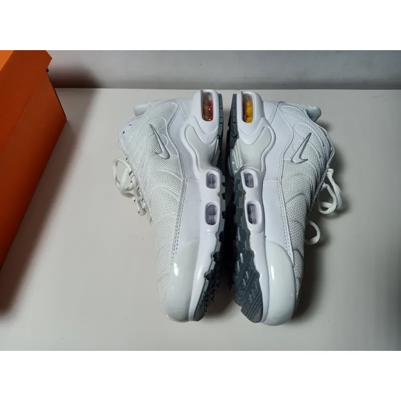 Air Max Plus  White (Nike Tn)