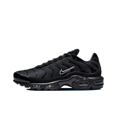 Nike Air Max Plus "Unity" DZ4509-001(Nike Tn) 01