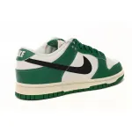  Nike Dunk Low Lottery DR9654-100