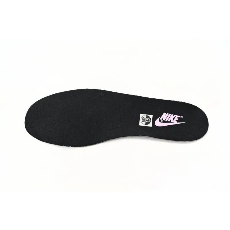 Nike Dunk Low Black Powder Paint  DJ9955-600