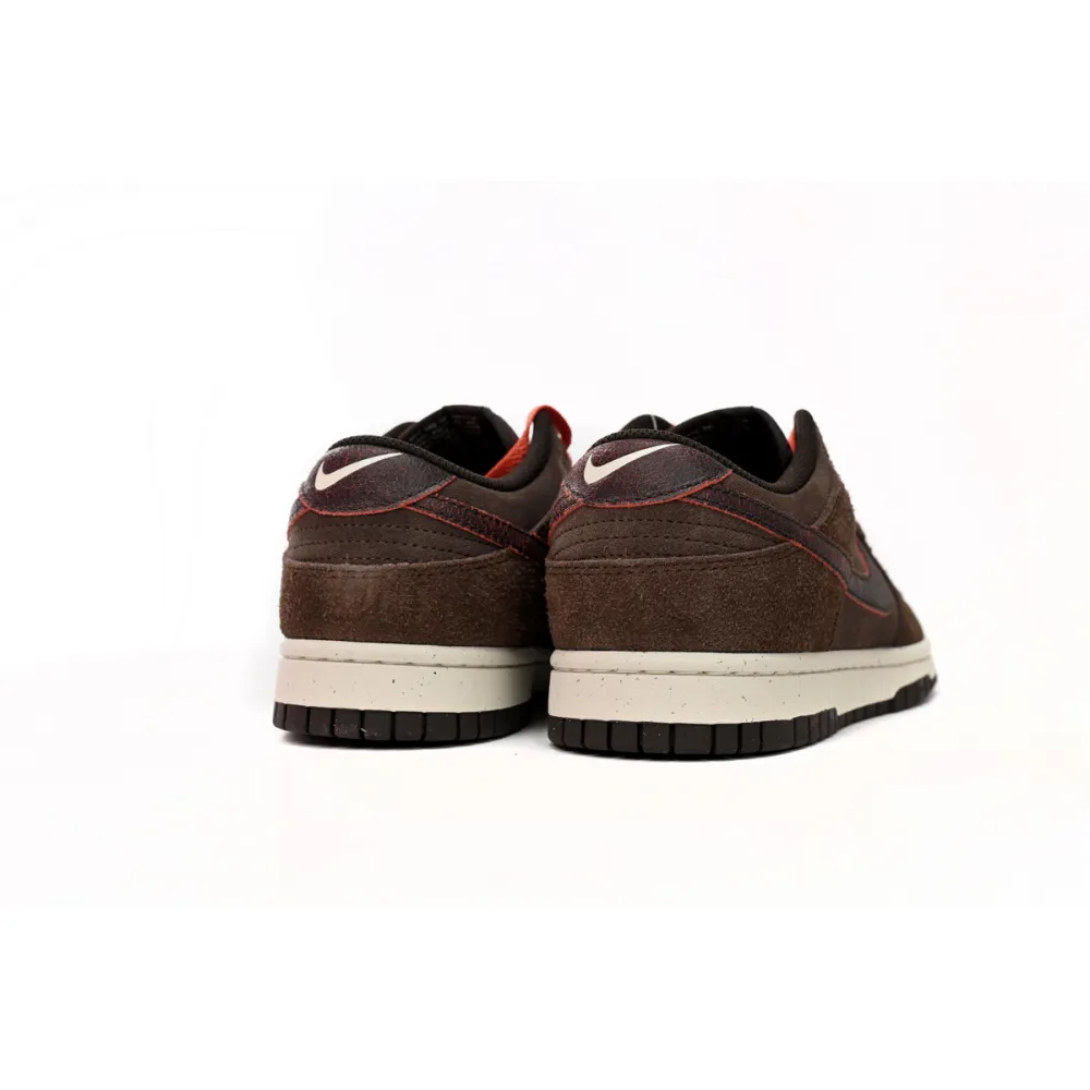 Nike Dunk Low Baroque Brown DQ8801-200