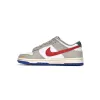 Nike Dunk Low Light Iron Ore DV3497-001