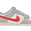 Nike Dunk Low Light Iron Ore DV3497-001