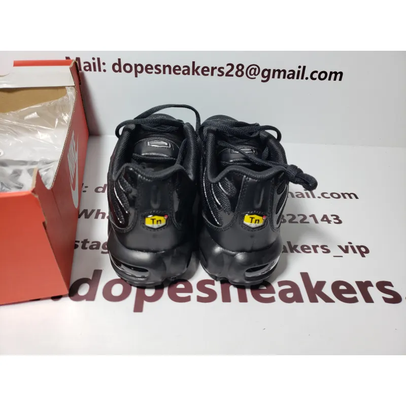 Nike Fake Air Max Plus Triple Black 604133-050