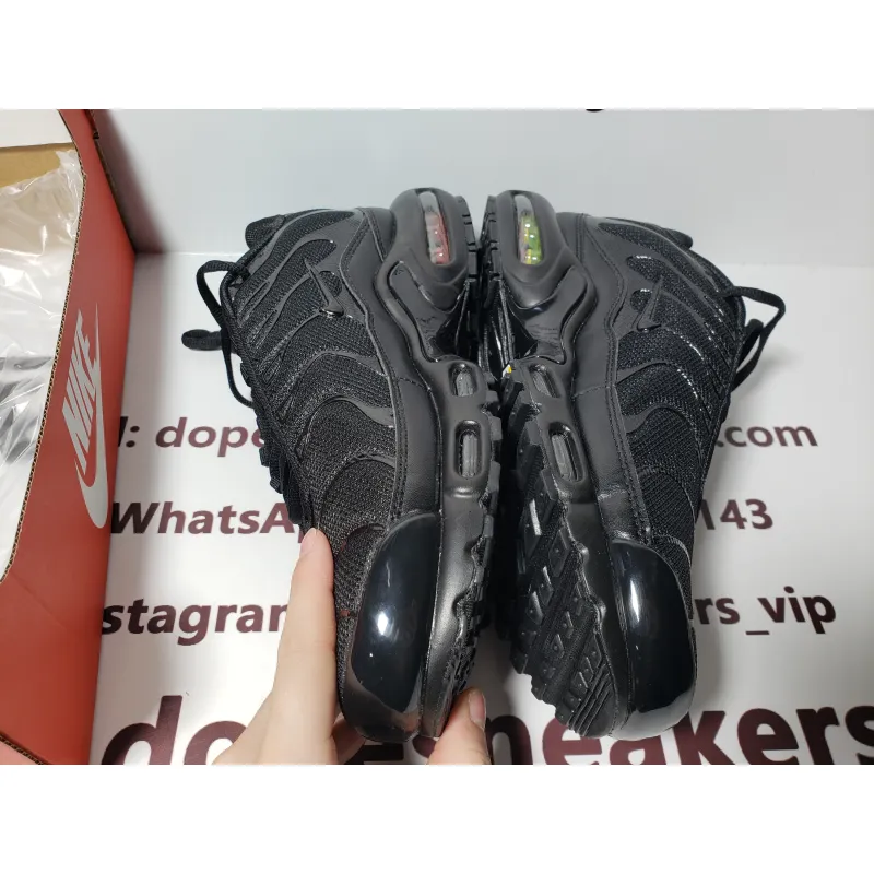 Nike Fake Air Max Plus Triple Black 604133-050