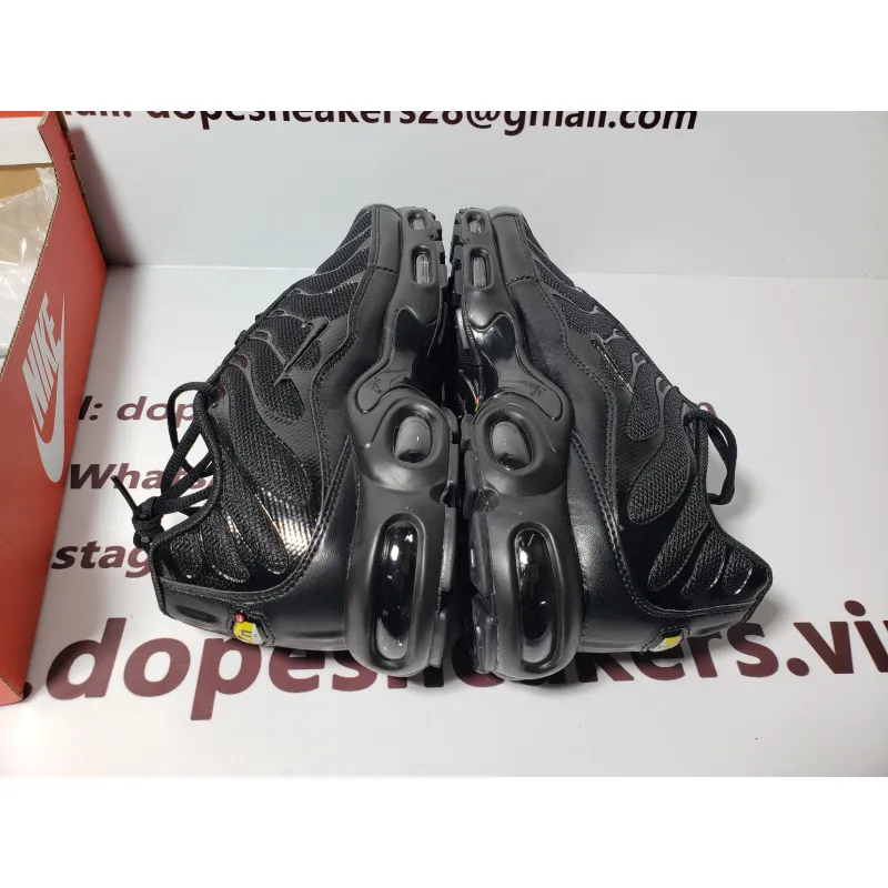 Nike Fake Air Max Plus Triple Black 604133-050