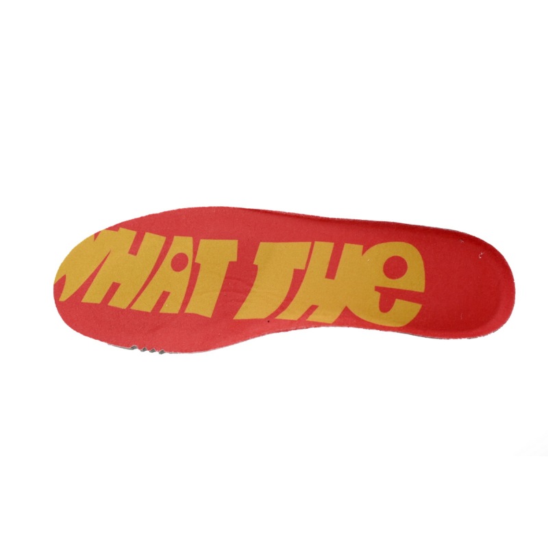 Nike Dunk Low "What the Dunk" Colorful Pigeon  318403-141